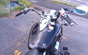 YAMAHA DRAGSTAR400 CLASSIC 2008 VH01J