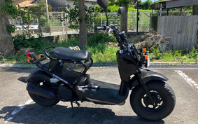 HONDA ZOOMER AF58