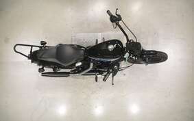 HARLEY XL1200NS 2020