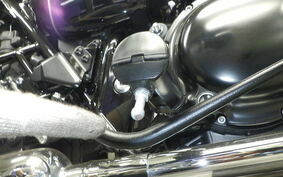 KAWASAKI W800 STREET 2022 EJ800E