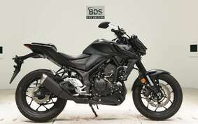 YAMAHA MT-25 A RG74J