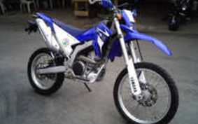 YAMAHA WR250R DG15J