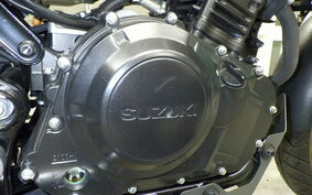 SUZUKI V-STROM 250