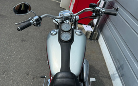 HARLEY HARLEY FXDL1580 2015 GN4