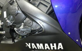 YAMAHA YZF-R1 2006