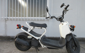 HONDA ZUMAR AF58