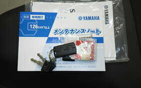 YAMAHA TRICITY 300 2020 SH15J