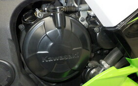 KAWASAKI NINJA 250 SL BX250A