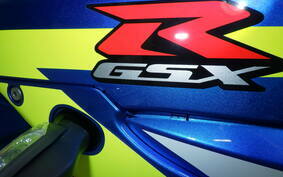 SUZUKI GSX-R1000R A 2020 DM11G