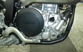 YAMAHA WR250X DG15J