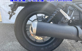 HONDA REBEL