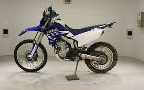 YAMAHA WR250R DG15J