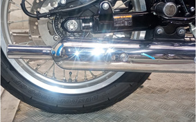 KAWASAKI W800 STREET 2020 EJ800B