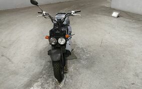 HONDA ZOOMER AF58