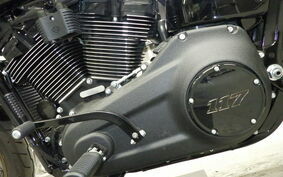 HARLEY FXLRS1920 2022 YWZ