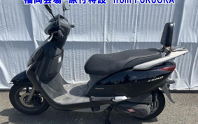 OTHER  LEAD 110EX