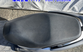 OTHER  LEAD 110EX