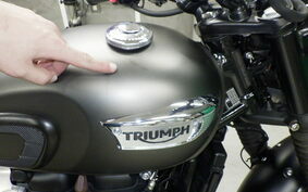 TRIUMPH BONNEVILLE T100 2019