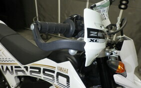 YAMAHA WR250X DG15J