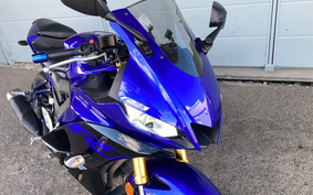 YAMAHA YZF-YZF-R3 ABS 2019 RH13J