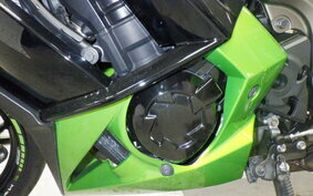 KAWASAKI NINJA 1000 2013 ZXCG19