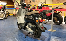 HONDA TODAY AF67