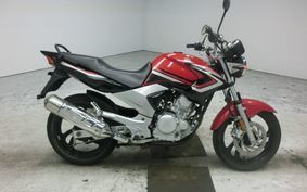 YAMAHA YBR250 PCNL