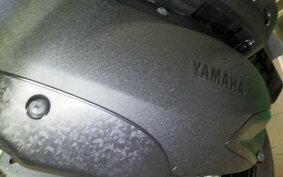 YAMAHA TRICITY 300 2021 SH15J