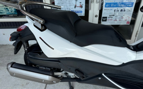 HONDA PHASE MF11