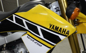 YAMAHA WR250R DG15J