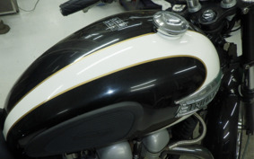 TRIUMPH BONNEVILLE T100 2008