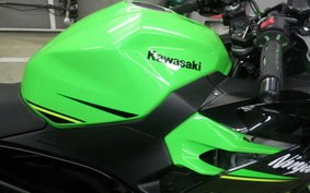 KAWASAKI NINJA 400 2018 EX400G