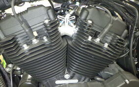 HARLEY XL1200NS 2021