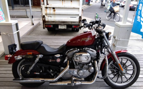 HARLEY HARLEY XL883L 2009 CR2