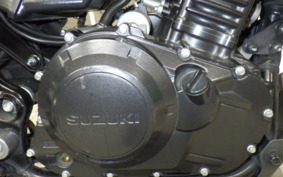 SUZUKI V-STROM 250