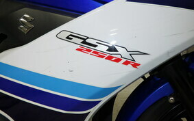 SUZUKI GSX250R