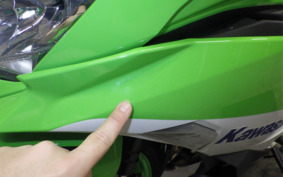 KAWASAKI ZX-4RR 2024 ZX400P