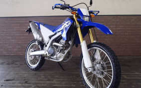 YAMAHA WR250R 2010 DG15J