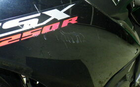 SUZUKI GSX250R DN11A