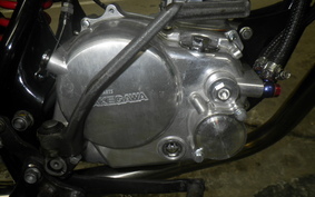 HONDA APE 50 AC16