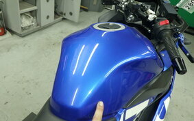 SUZUKI GSX250R DN11A