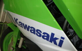 KAWASAKI ZX-4RR 2024 ZX400P