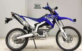 YAMAHA WR250R DG15J