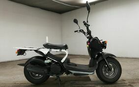 HONDA ZOOMER AF58