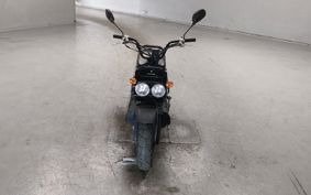 HONDA ZUMAR AF58