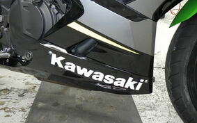 KAWASAKI NINJA 250 EX250P