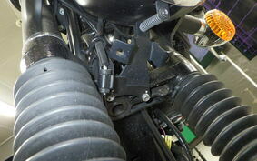 KAWASAKI W800 CAFE 2020 EJ800B