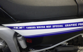 YAMAHA WR250R DG15J