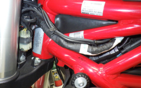 DUCATI MONSTER 821 2020