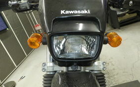 KAWASAKI SUPER SHERPA KL250G